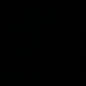 Meet your Posher, Trent